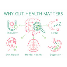 Load image into Gallery viewer, Diagram explaining why gut health matters with icons and text on a white background