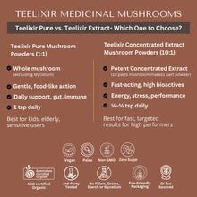 Load image into Gallery viewer, Teelixir Organic Pure Chaga 50g
