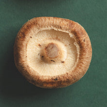 Load image into Gallery viewer, SHIITAKE HONEY PEARLS-1
