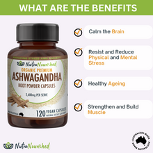 Load image into Gallery viewer, Organic Ashwagandha Withania Somnifera | 120 Vegan Capsules
